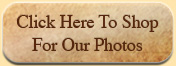Click Here To Shop For Our Photos