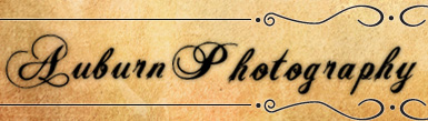 Auburn Photography